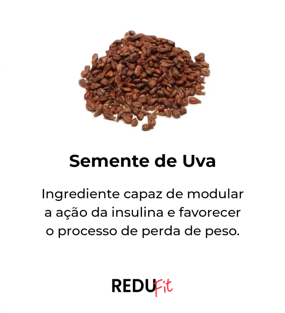 Semente de uva ingrediente do Redufit — modula insulina e favorece perda de peso