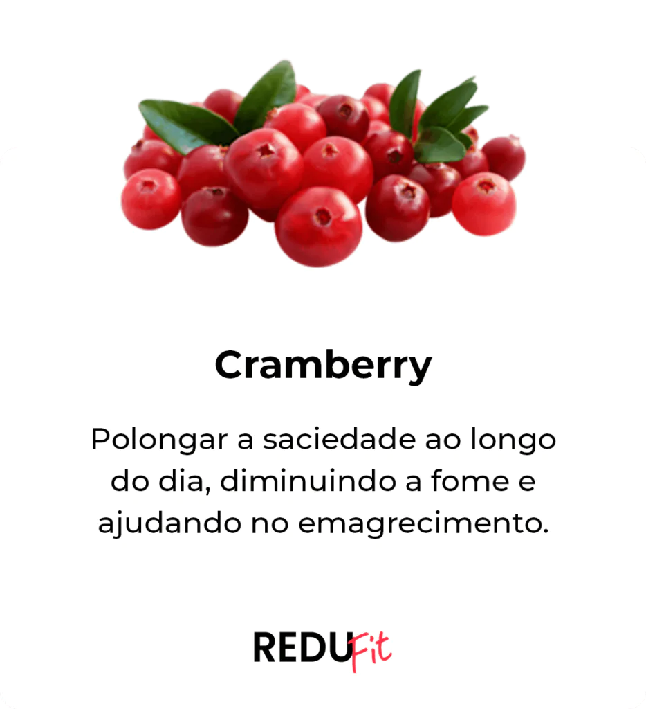 Cranberry ingrediente do Redufit — prolonga a saciedade e ajuda no emagrecimento