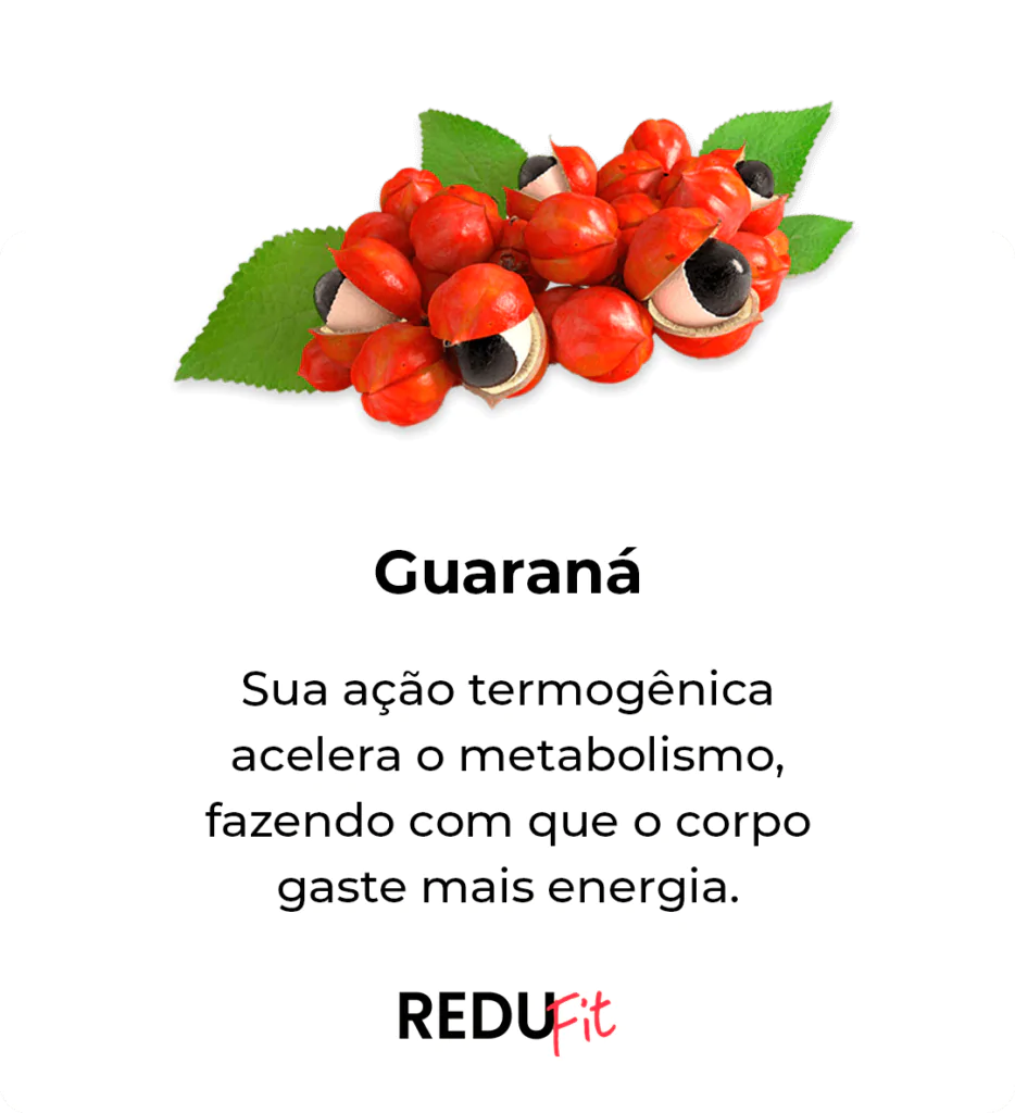 Guaraná ingrediente do Redufit — ação termogênica que acelera o metabolismo